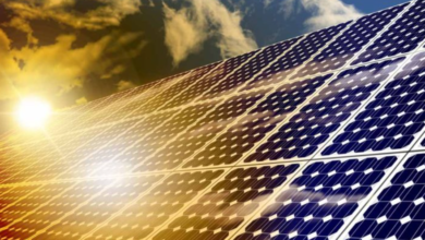 How Solar Panels Work: A Beginner’s Guide