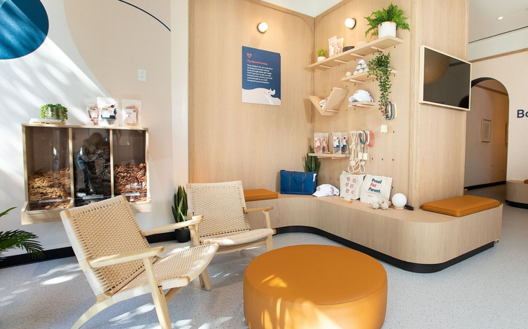 Clever Design Secrets Behind Veterinary Fitouts in Melbourne