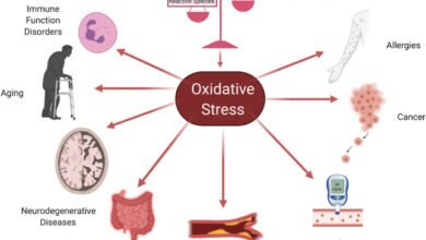 Why Reducing Oxidative Stress Could Be the Key to Longevity