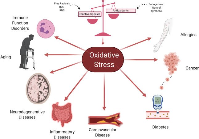 Why Reducing Oxidative Stress Could Be the Key to Longevity