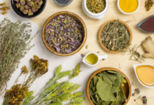 Ayurvedic Clinic Guide to Panchakarma: When You Need It, When You Don't