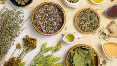 Ayurvedic Clinic Guide to Panchakarma: When You Need It, When You Don't